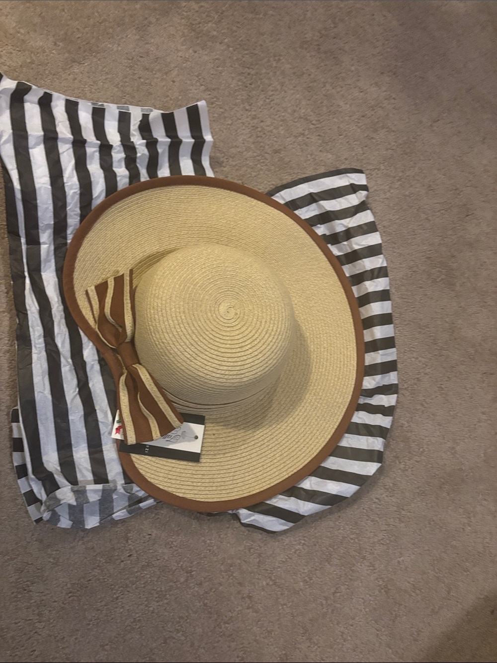 Filippo catarzi Brim Straw Sun Hat with Brown Trim and Bow